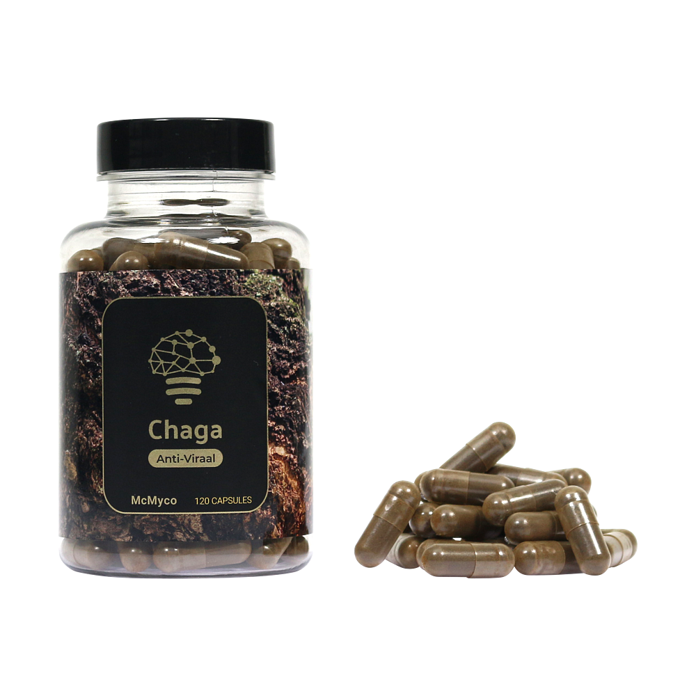 Chaga medicinale paddenstoel van McMyco